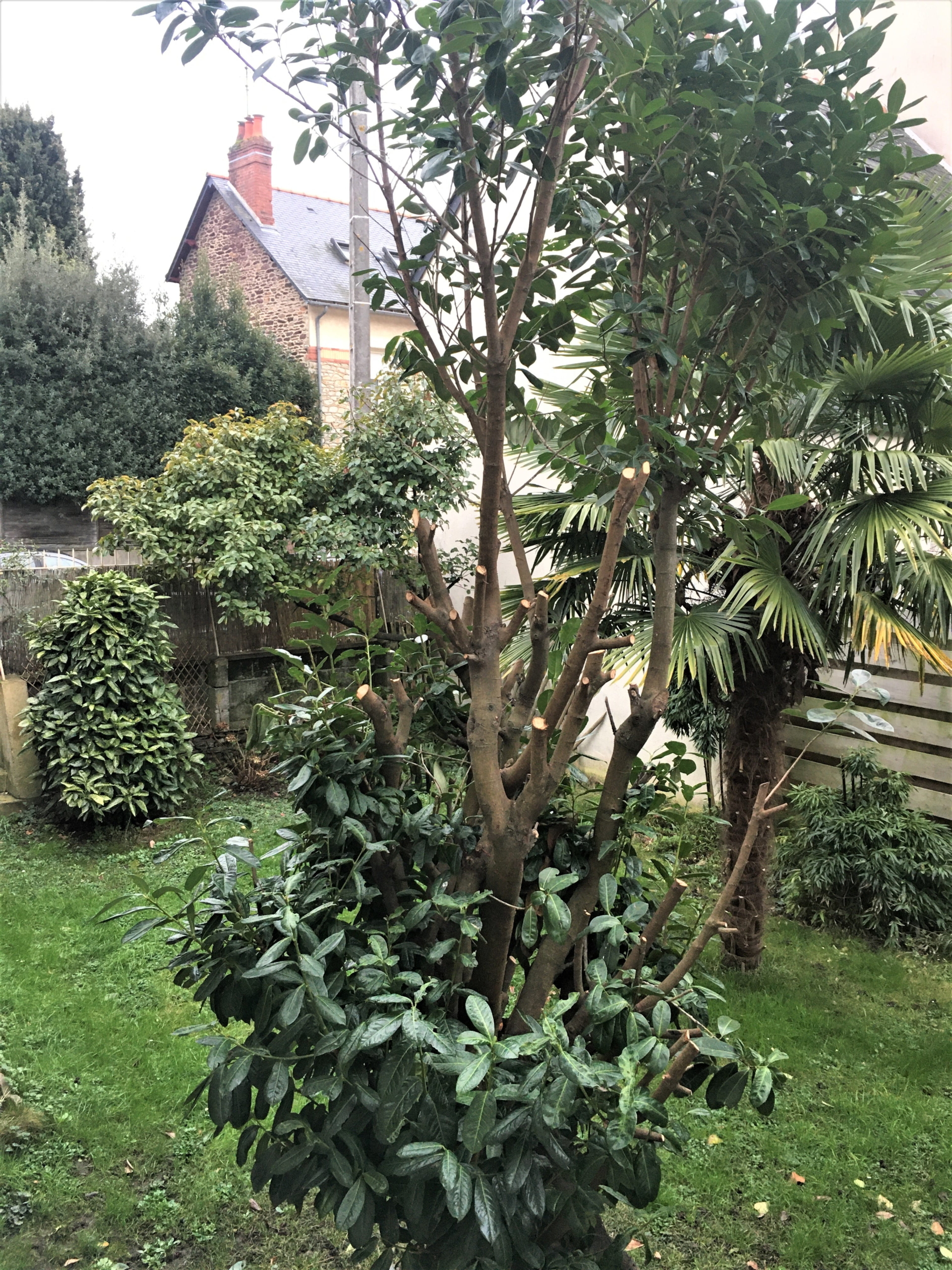 1042021 JARDIN6